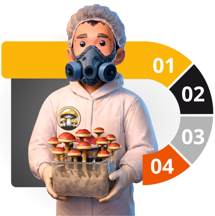 cogumelos cogu moura